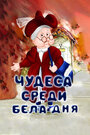 Мультфильм «Чудеса среди бела дня»