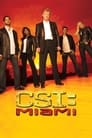 C.S.I.: Майами (2007)